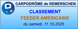 CARPODRÔME de REMERSCHEN du samedi, 11.10.2025    CLASSEMENT FEEDER AMERICAINE