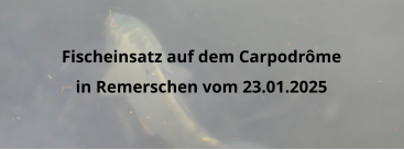 Fischeinsatz auf dem Carpodrôme in Remerschen vom 23.01.2025