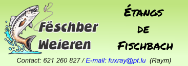 Étangs  de  Fischbach Contact: 621 260 827 / E-mail: fuxray@pt.lu  (Raym)
