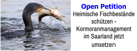 Open Petition Heimische Fischbestände schützen -  Kormoranmanagement im Saarland jetzt umsetzen